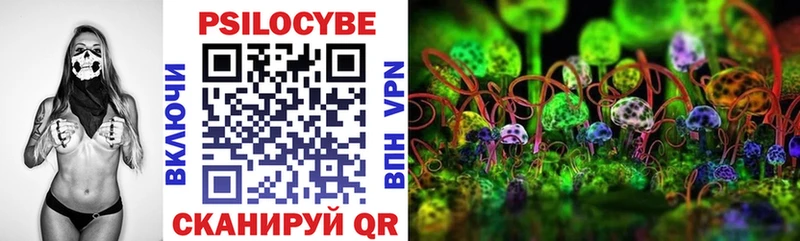 мега вход  Нижнекамск  Псилоцибиновые грибы GOLDEN TEACHER 